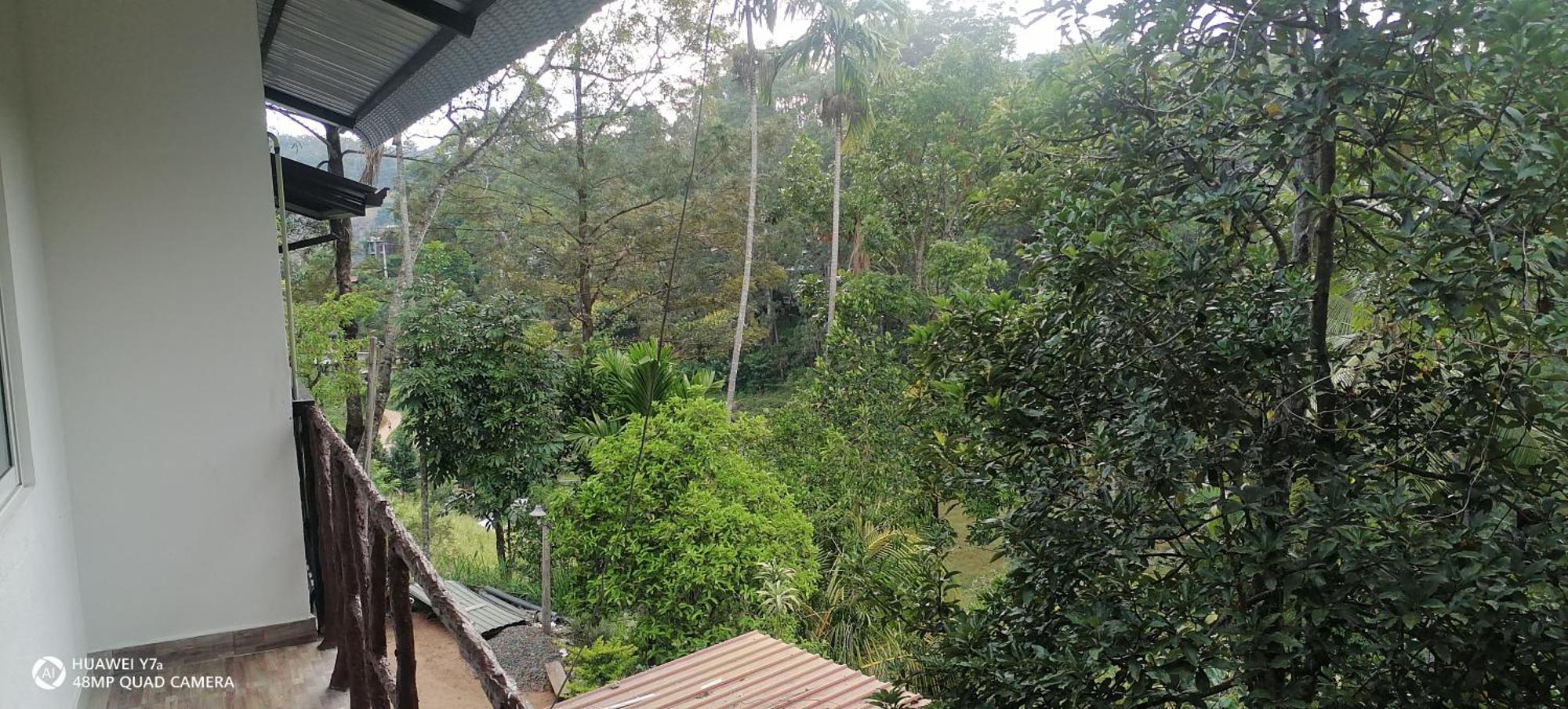 Isuru Homestay Ella Exteriér fotografie